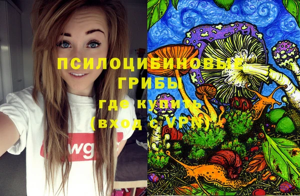 дурь Нея