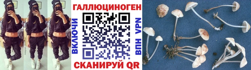 Галлюциногенные грибы Psilocybe  нарко площадка телеграм  hydra ТОР  Среднеколымск  продажа наркотиков 